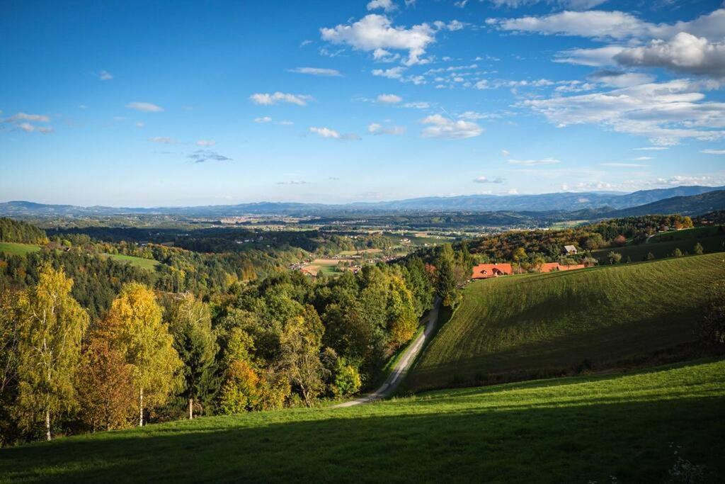 Chalet-Suedsteiermark - Traumhafte Aussicht, Infinity Pool, Privatsphaere, Klima Und De-Luxe Ausstattung Schwanberg Exterior foto
